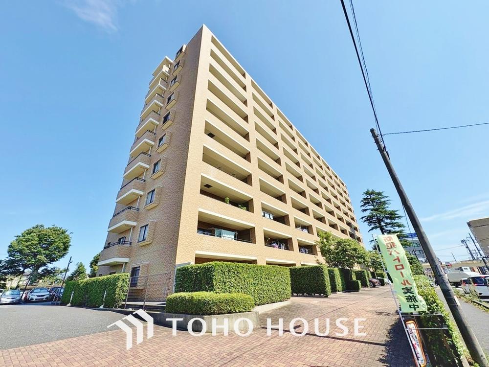 ソフィア柏公園1号棟 11階