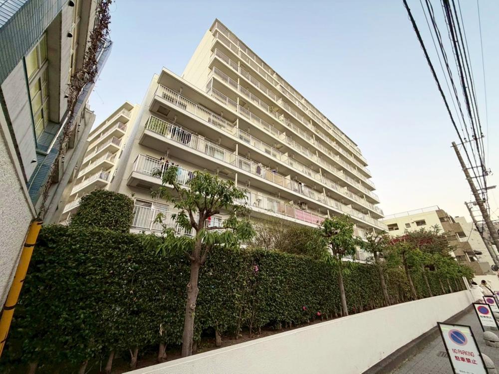 目白ガーデニア216号