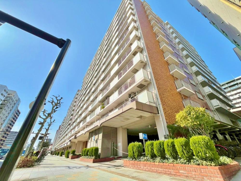 コープ野村亀戸 東棟 203号室