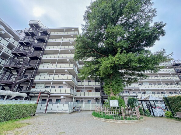 埼玉県さいたま市緑区原山１丁目