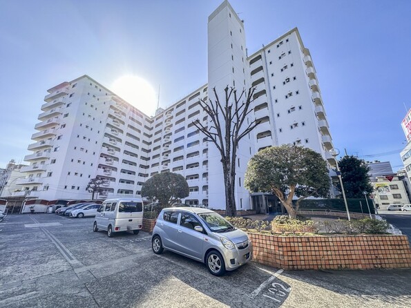 埼玉県さいたま市南区白幡３丁目