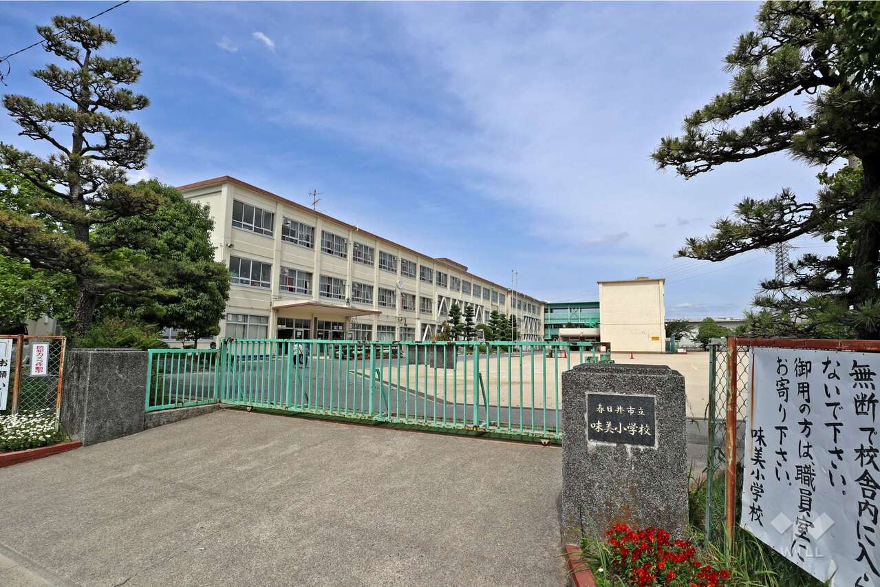 Image 19