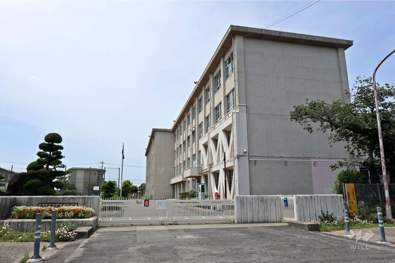 Image 20