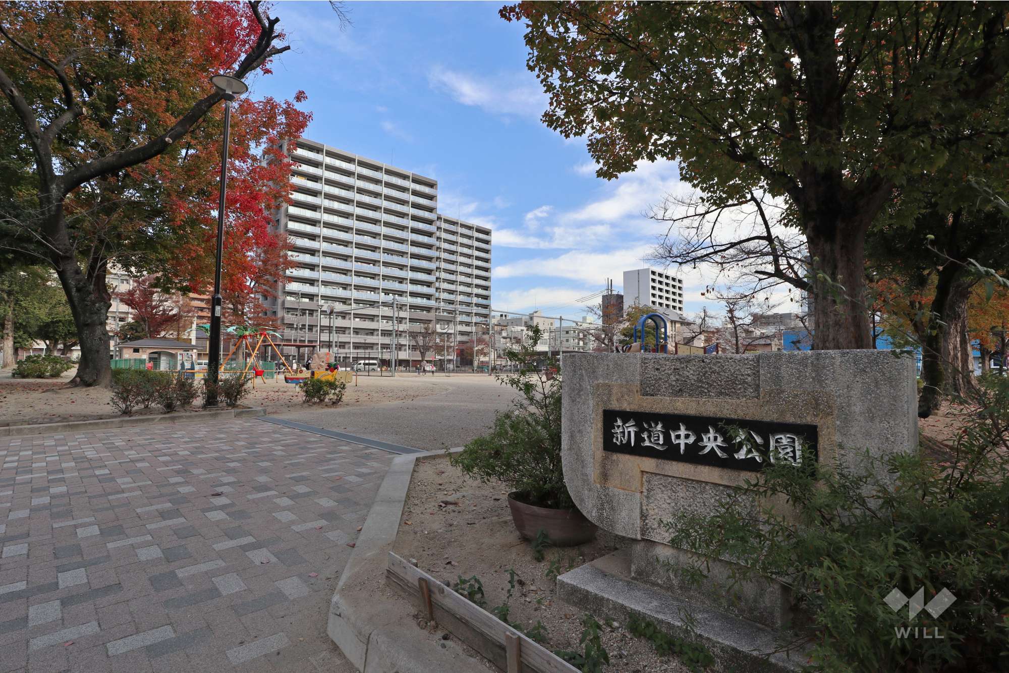 新道中央公園の外観