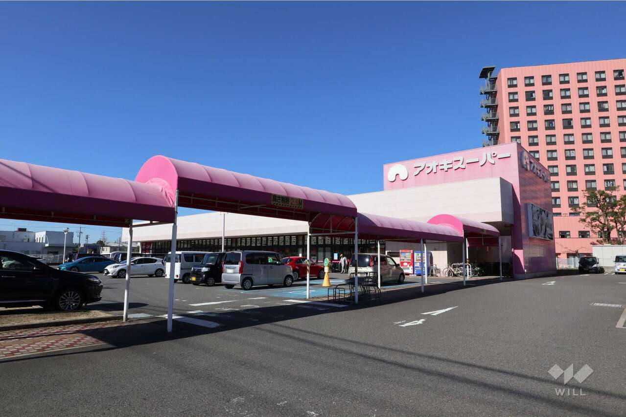 アオキスーパー(大同店)の外観