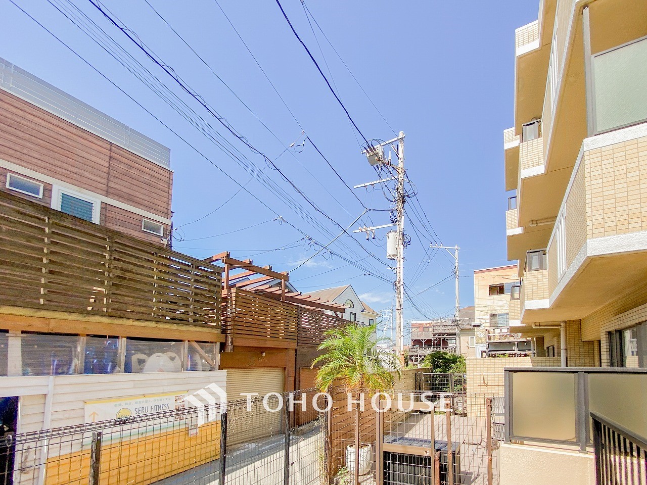 木々の緑がまぶしい、豊かな緑と静寂。ずっと見ていたいと思わせてくれる景色。