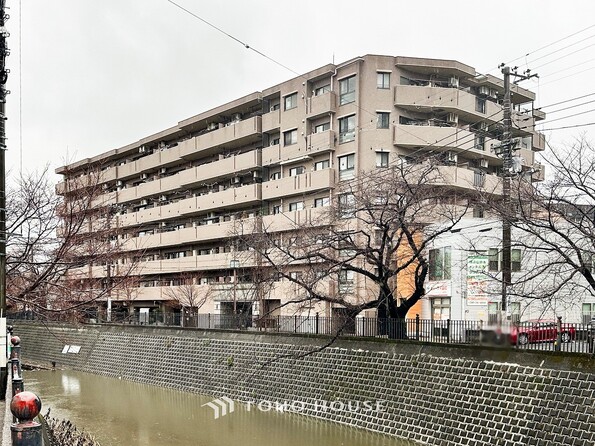 神奈川県横浜市南区大橋町３丁目